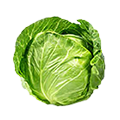 Fresh vegetables
