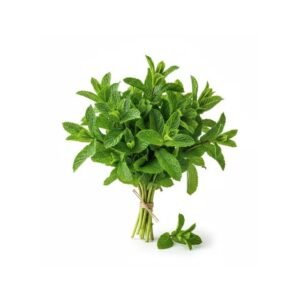 (Fresh) Mint